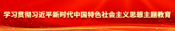 操死女人的大骚逼学习贯彻习近平新时代中国特色社会主义思想主题教育